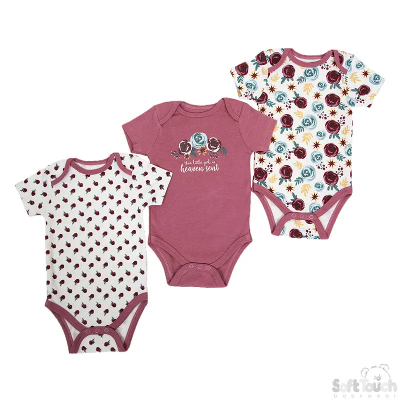 3 Pack Floral Bodysuits (NB-9 Months)-4CC104-BS