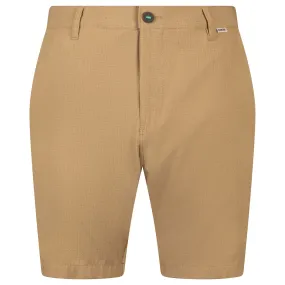 Boardwalker 8 Inch Inseam AC Shorts Ballast - SS24