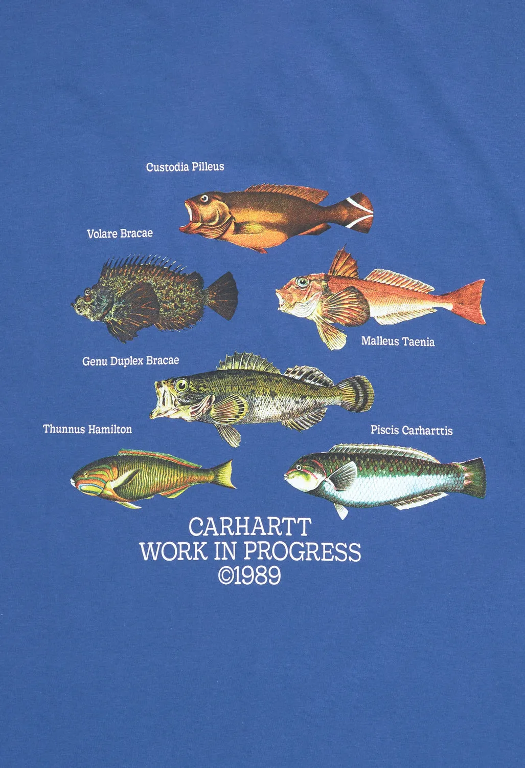 Carhartt WIP Men's Fish T-Shirt - Acapulco