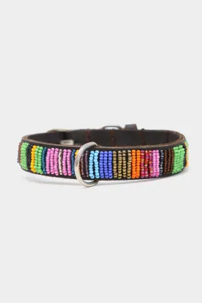 Dog Collar | Full Beaded Multishine