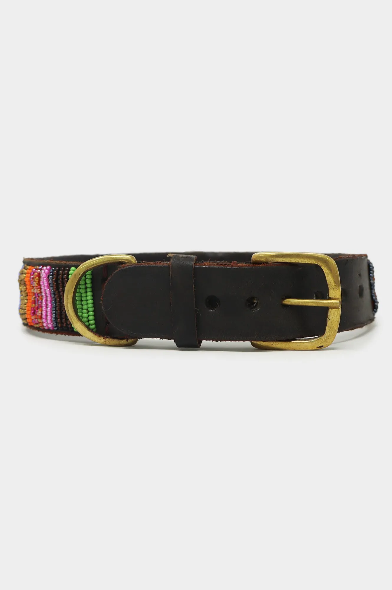 Dog Collar | Full Beaded Multishine