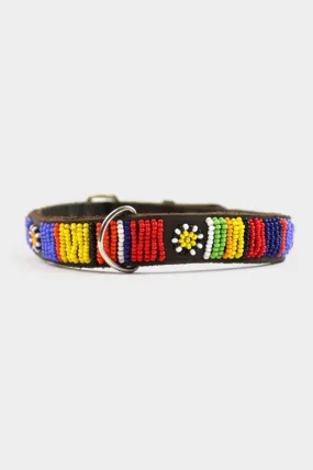 Dog Collar | Maasai Multi