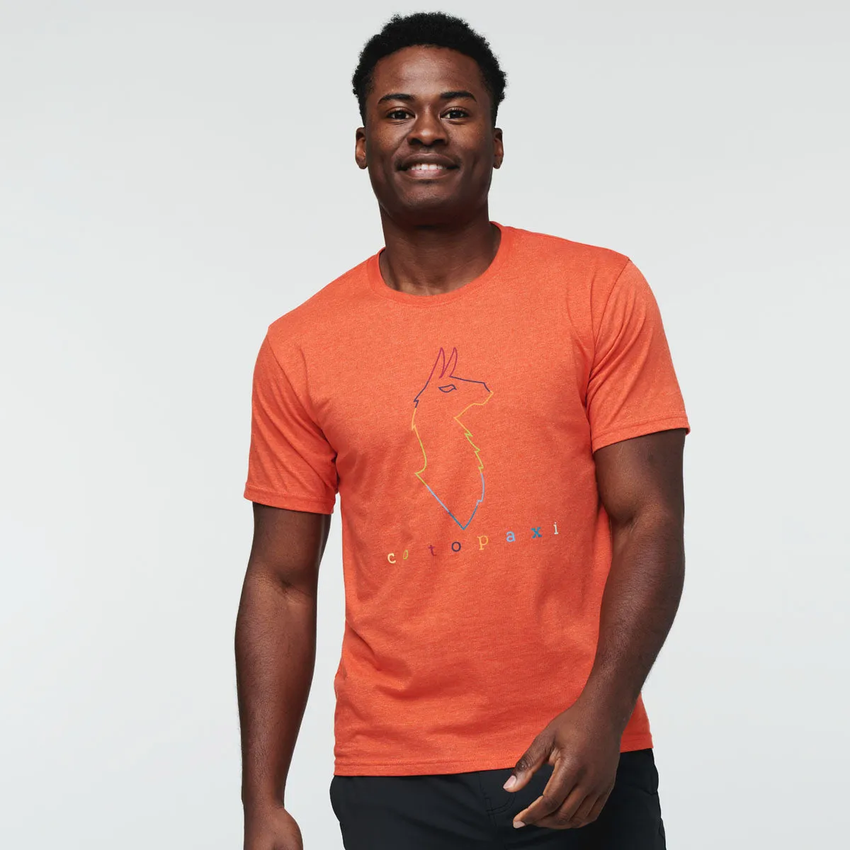 Electric Llama T-Shirt - Men's