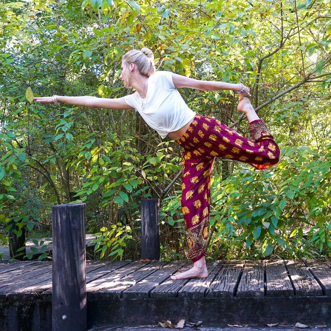 Glee Burgundy Elephant Harem Pants