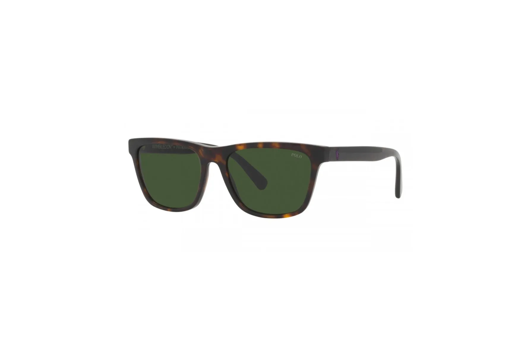 POLO Sunglasses - PH4167 (500371)